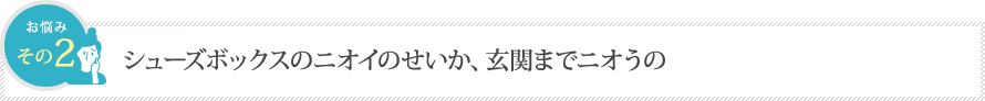 シューズボックスのニオイのせいか、玄関までニオうの